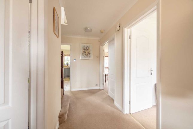 Detached house for sale in Sycamore Close, Maidenhead