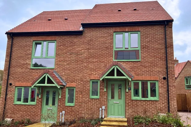 Aster - Perceval Grange