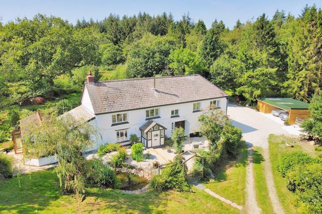 Thumbnail Detached house for sale in Beaworthy
