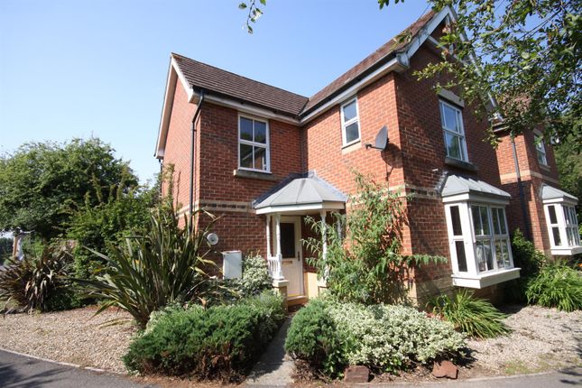 Thumbnail Detached house to rent in Orpine Close, Titchfield, Fareham