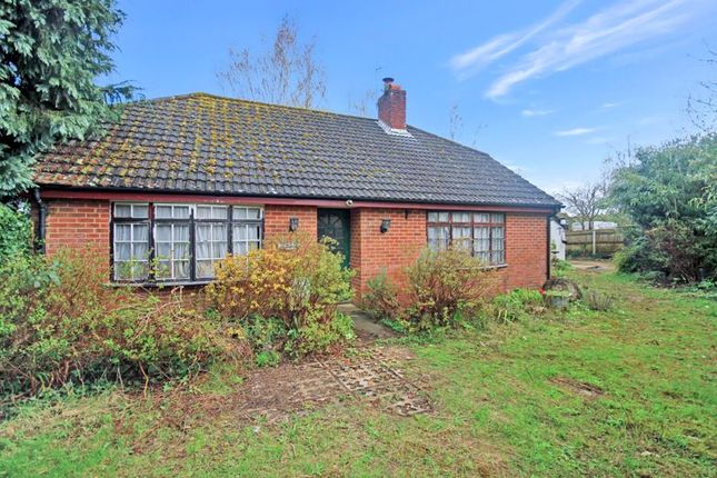 Detached bungalow for sale in Cranborne Road, Cripplestyle, Fordingbridge