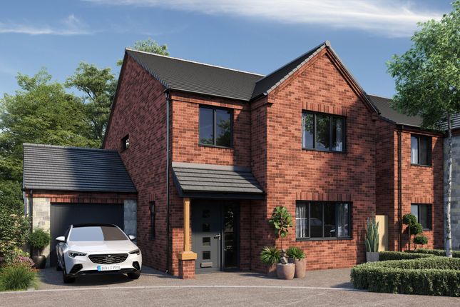 Thumbnail Detached house for sale in Chapel Close, Blackwell, Alfreton