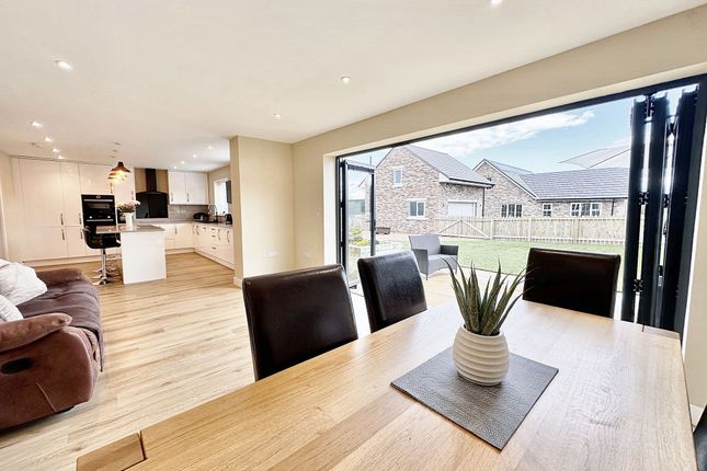 Family Dining Kitchen