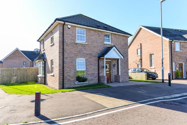 Thumbnail Detached house for sale in Millreagh, Dundonald, Belfast, County Down