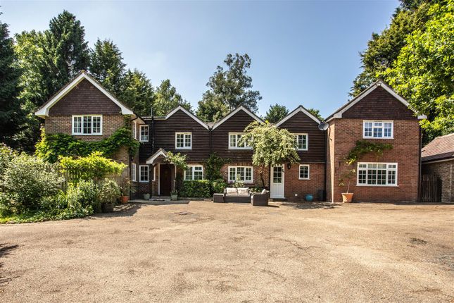 Lyngate House, Uckfield photo 2