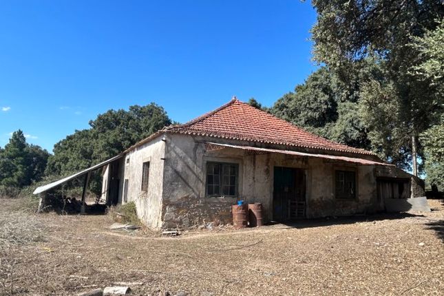 Farm for sale in Pedrógão Grande, Pedrógão Grande (Parish), Pedrógão Grande, Leiria, Central Portugal