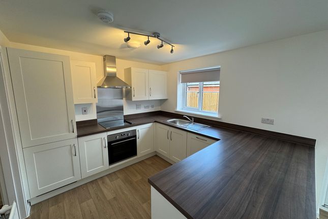 8, Daffodil Close, Brandon photo 2