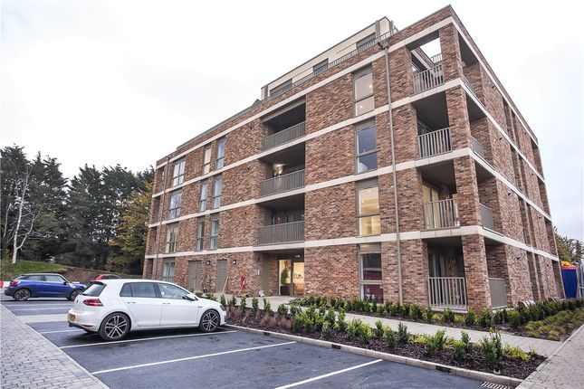 Thumbnail Flat to rent in Joseph Terry Grove, York, North Yorkshire