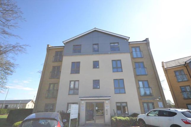 Thumbnail Flat to rent in Pearce Court, Circular Road East