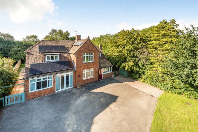 Detached house to rent in London Road, Holybourne, Hampshire