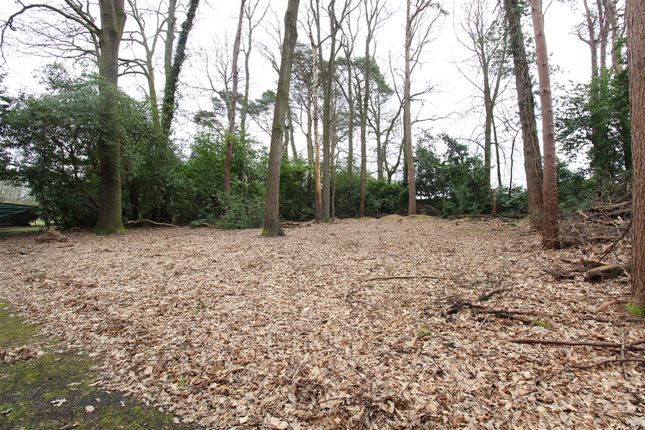 Land to rent in Crawley Hill, West Wellow, Romsey