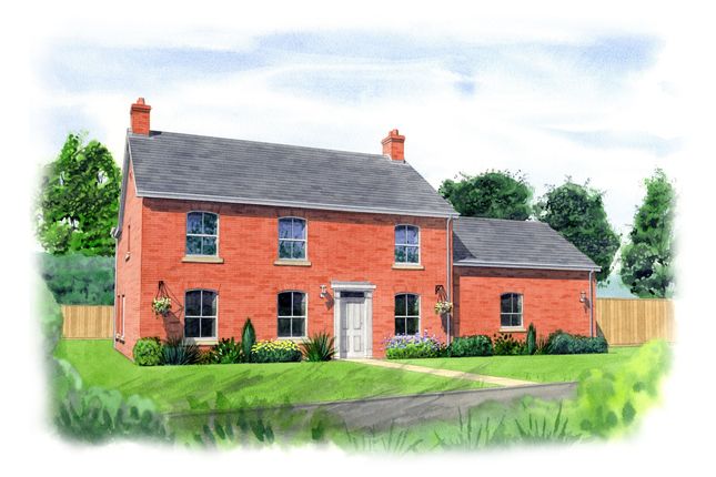 Bonthorpe Ln. Hdw V01