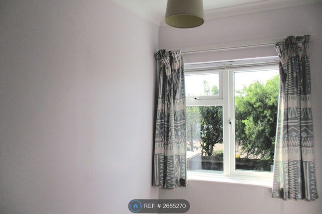 Bedroom 2 ( Single)