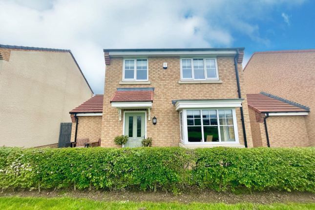 Thumbnail Detached house for sale in Buttercup Grove, Stainton, Middlesbrough