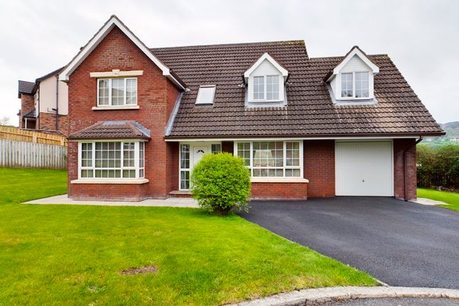 Thumbnail Property for sale in Forest Hills, Mayobridge, Newry