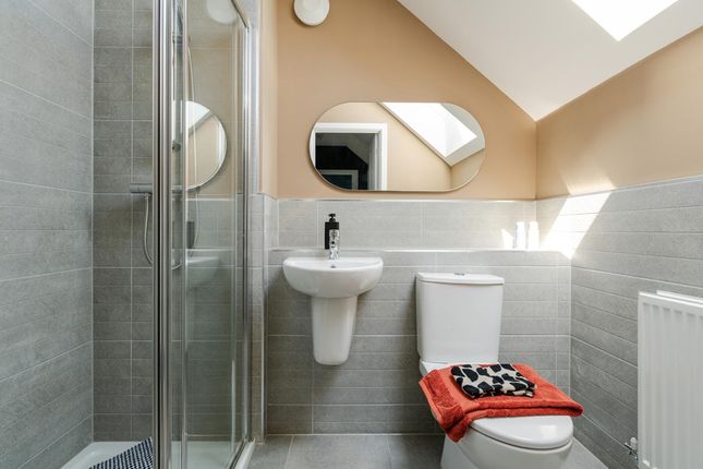 The Top Floor Is Complete With A Shower Room