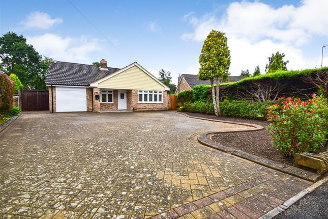 Thumbnail Bungalow for sale in Rosemary Gardens, Blackwater, Camberley, Hampshire