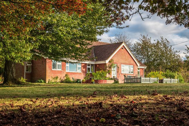 Little Coppings Heydon Road, Norwich photo 4