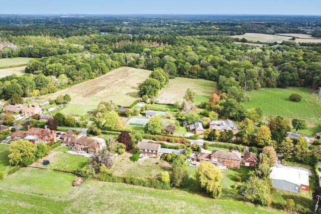 Monk Sherborne, Sanctuary, Tadley photo 3