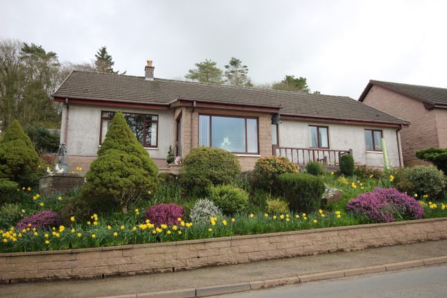 Thumbnail Detached bungalow for sale in Beechgrove, Lockerbie