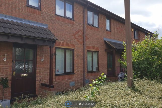 Thumbnail Terraced house to rent in Denchworth Court, Emerson Valley, Milton Keynes