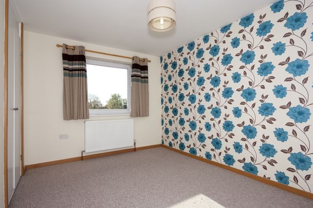 Spareacre Lane, Witney photo 4