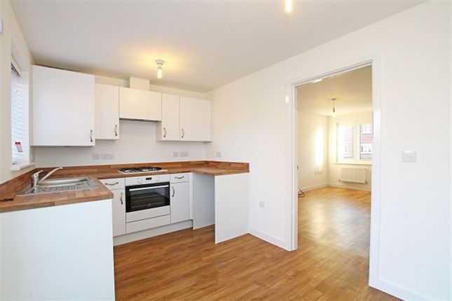 Filkins Close, Chichester photo 4