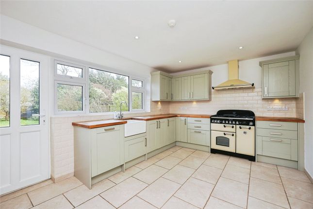 Trimmingham,, Kingsdown Hill, Deal photo 2