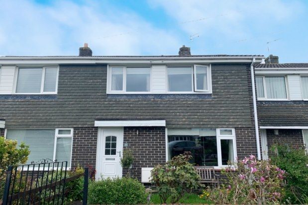 Thumbnail Property to rent in Holywell, Whitley Bay