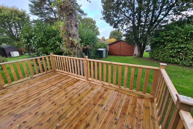 Edgeley Holiday Park (£100,000), Farley Green, Albury, Guildford photo 3
