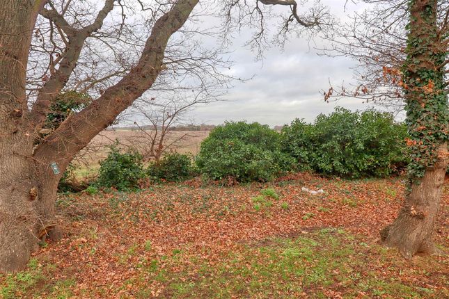 8, Rose Way, St Osyth photo 4