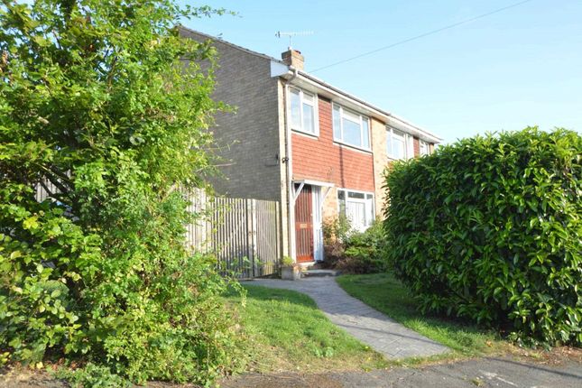 Thumbnail Semi-detached house to rent in Malus Drive, Addlestone
