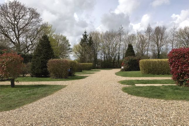 Detached house for sale in Polstead Country Park, Holt Road, Bower House Tye, Polstead, Suffolk