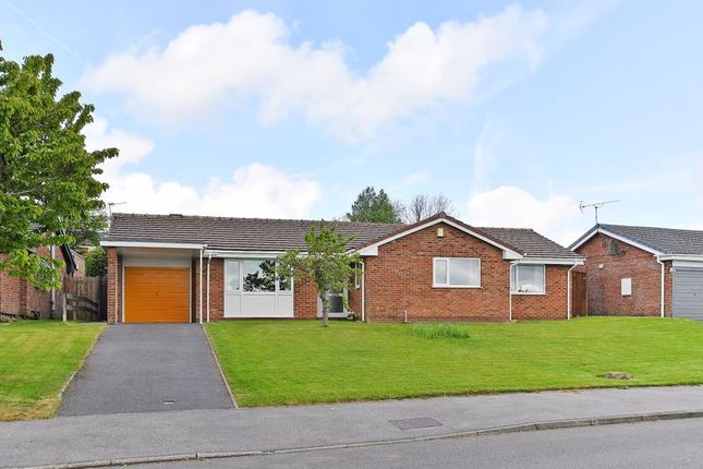 Thumbnail Bungalow for sale in Alms Hill Drive, Parkhead, Sheffield