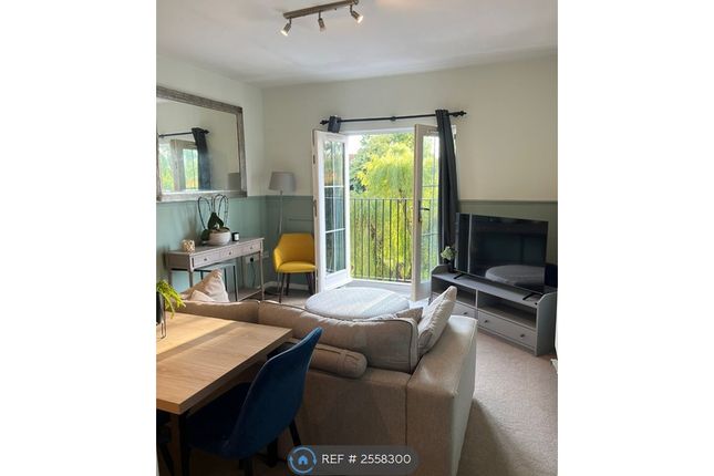 Living Room With Great View