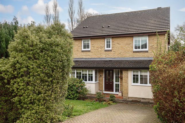Thumbnail Detached house to rent in Abinger Drive, Redhill