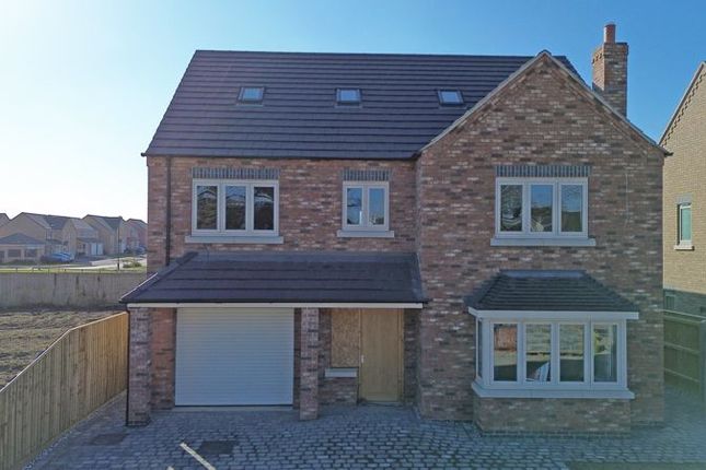 Thumbnail Detached house for sale in Bradbury Gardens, Off Humberston Avenue, Humberston