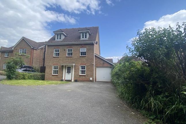 Thumbnail Detached house to rent in Sweet Bay Crescent, Ashford