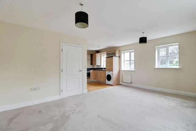 5 The Oaks, Main Road, Chelmsford photo 3