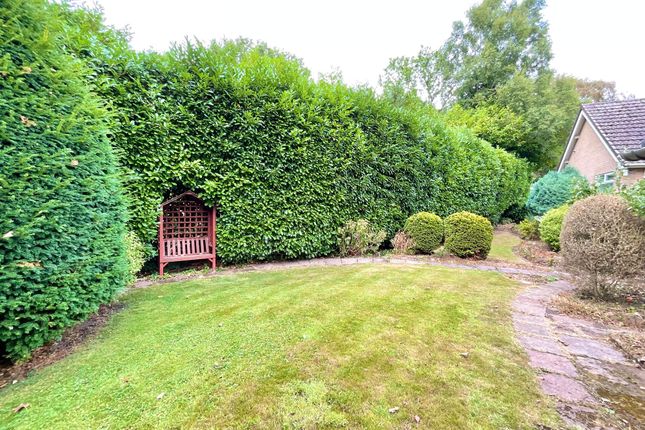 43 Nessina Grove, Crewe photo 4