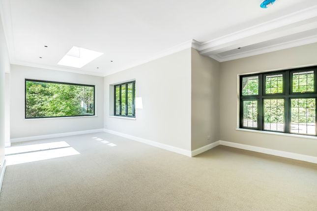 Shovelstrode Lodge, East Grinstead photo 4