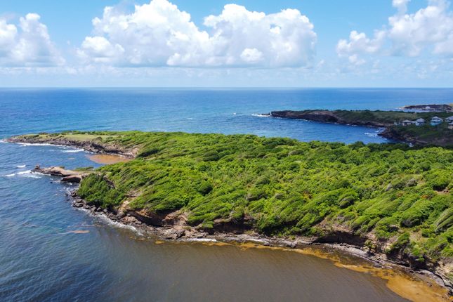 Thumbnail Land for sale in Birds Of Paradise Beachfront Land, Crochu, St. David's, Grenada