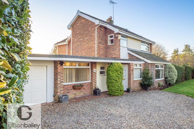 Thumbnail Detached house for sale in Plumstead Road, Thorpe End