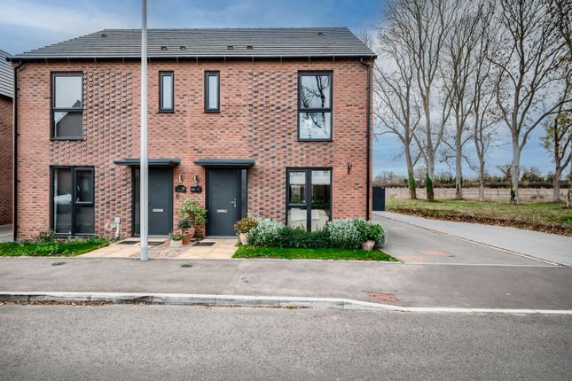 Xh2A0800-Hdr(3)-Edit