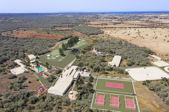 Country house for sale in Spain, Mallorca, Campos