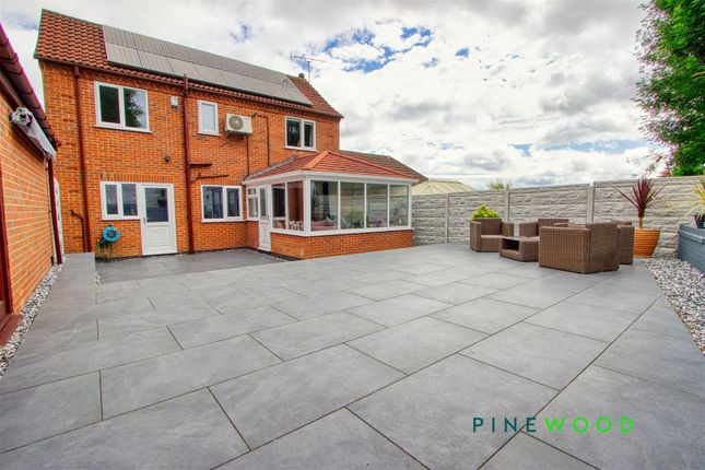 Patio / Rear