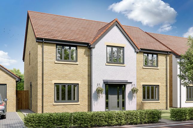 Thumbnail Detached house for sale in "The Torrisdale" at Lipwood Way, Wynyard, Billingham