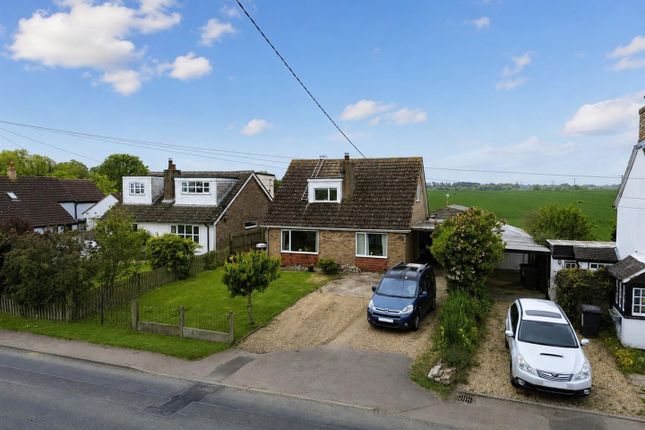 Pegasus, Kimbolton Road, Bedford photo 4