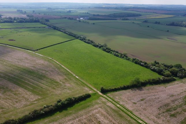 Dji_0542