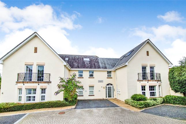 Thumbnail Flat for sale in Constitution Hill, Barnstaple